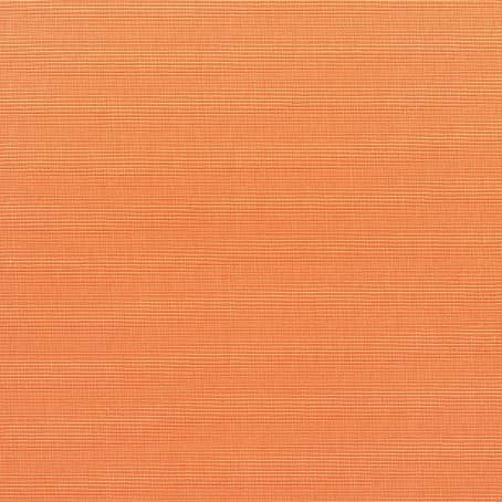Canvas Tangerine